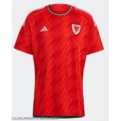 Camisa de Futebol País de Gales Equipamento Principal Mundo 2022 Manga Curta